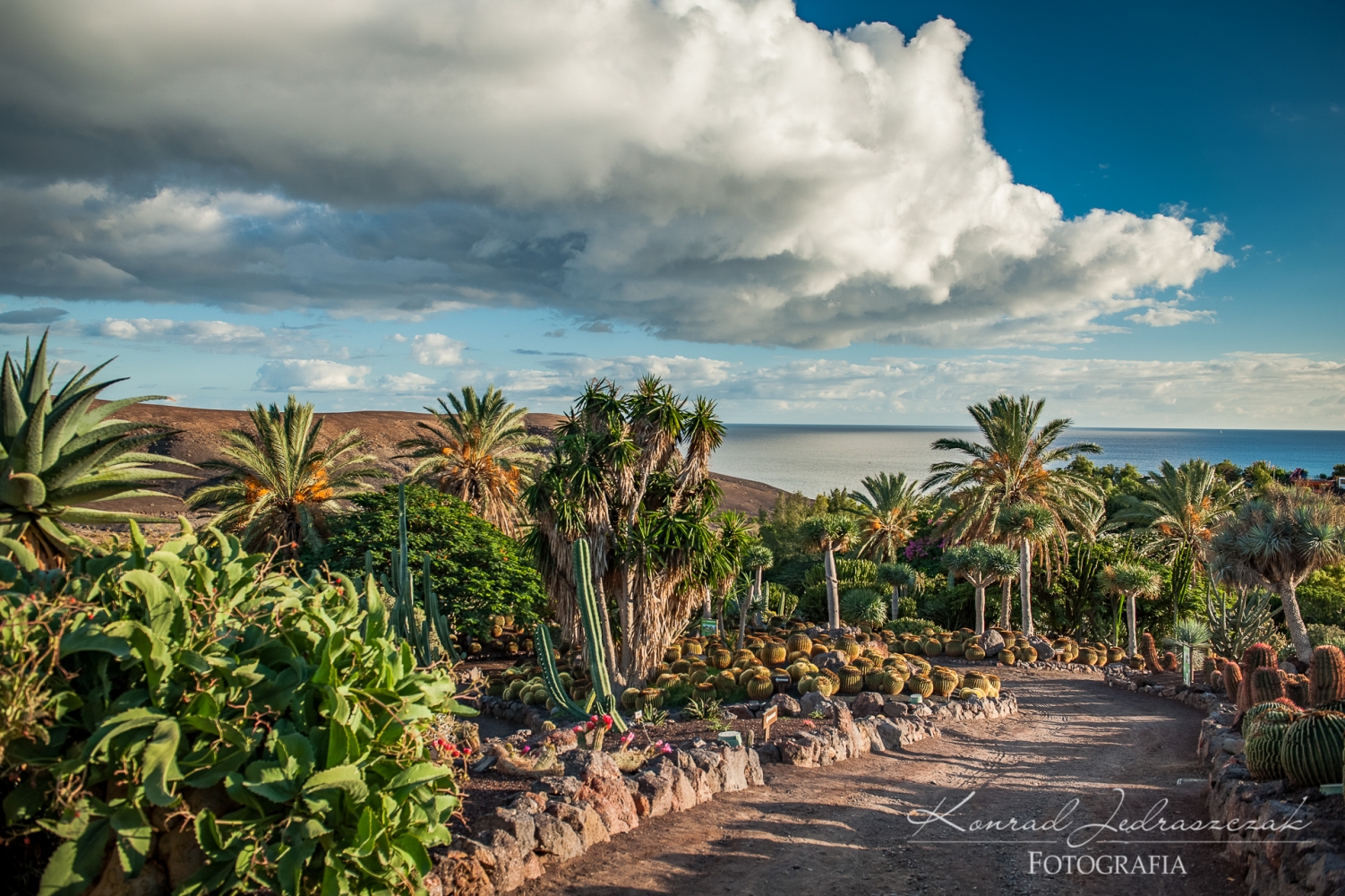 Fuerteventura, Oasis Park