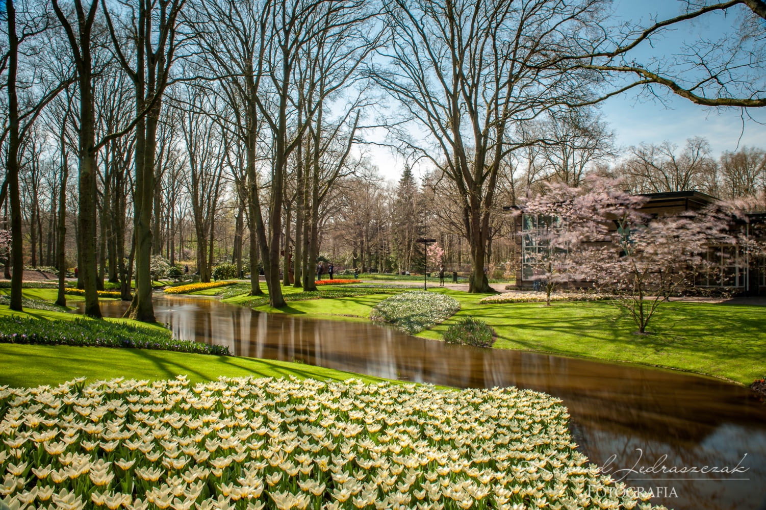Keukenhof, Holandia,