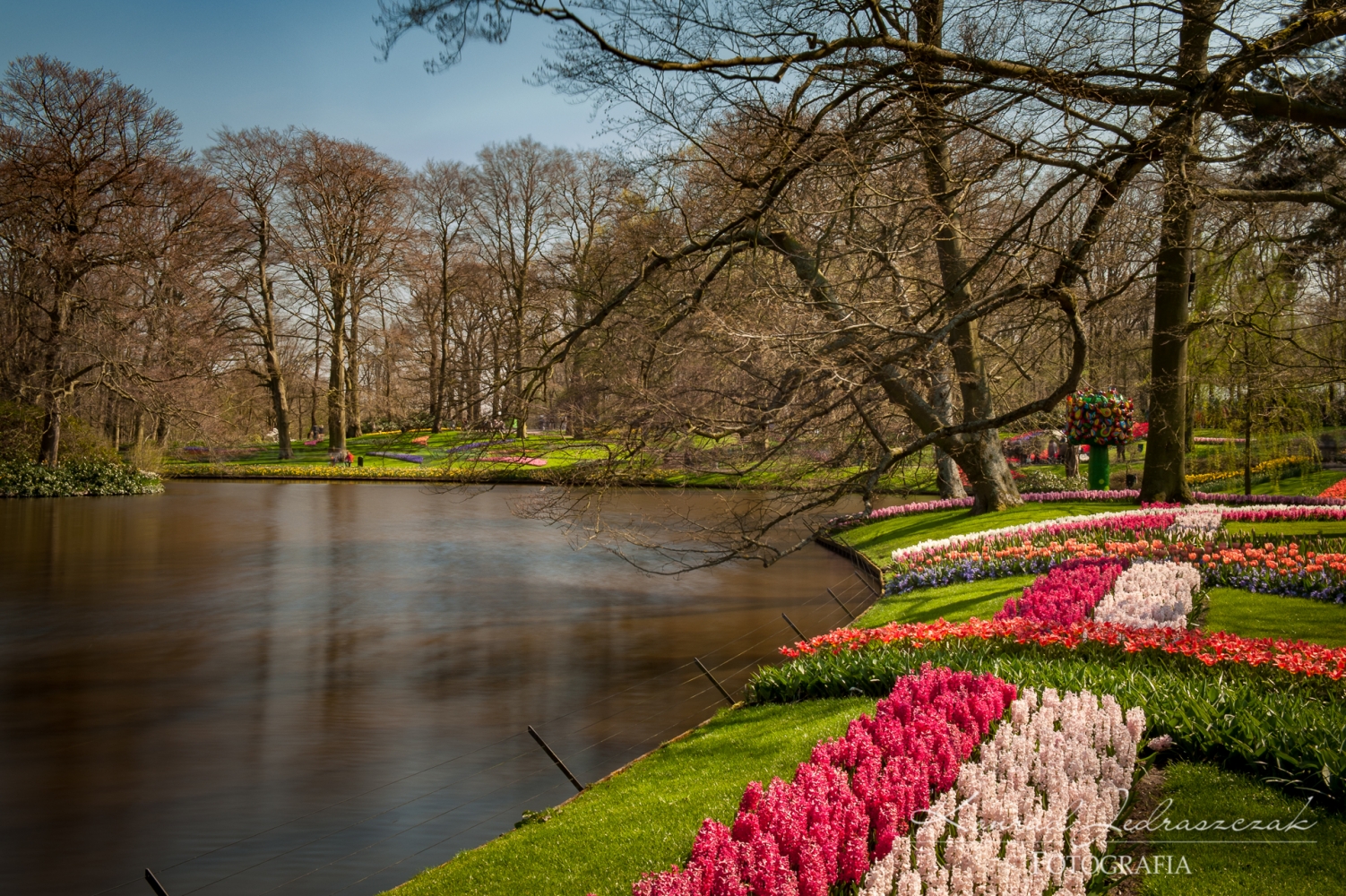 Keukenhof, Holandia, Tulipany